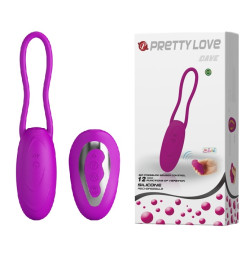 Виброяйцо с дистанционным управлением PrettyLove - DAVE 12 Functions USB