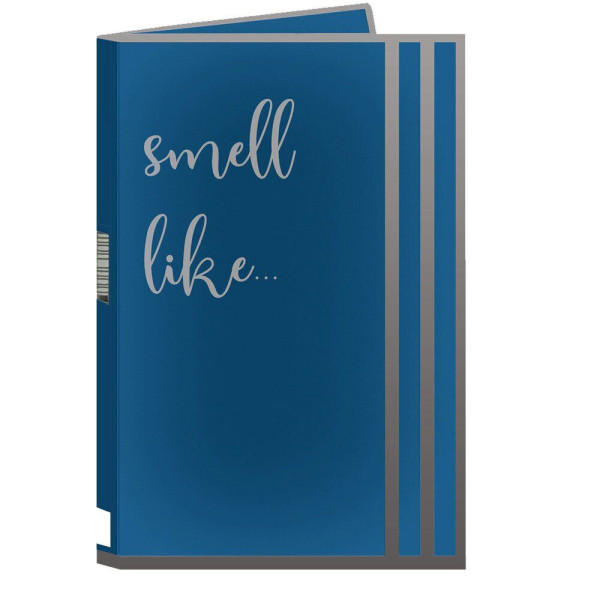 Парфюмерная вода с феромонами для мужчин Smell Like №10 for Man, 1 мл