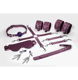 Набор Feral Feelings BDSM Kit 7 Burgundy, наручники, поножи, коннектор, маска, паддл, кляп, зажимы