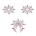 Пэстис из кристаллов Petits Joujoux Gloria set of 3 - Black/Pink