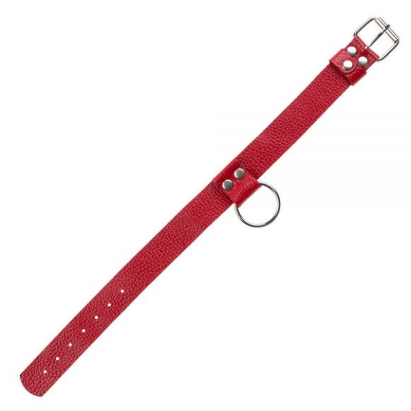 Ошейник Ring of Humiliti Red